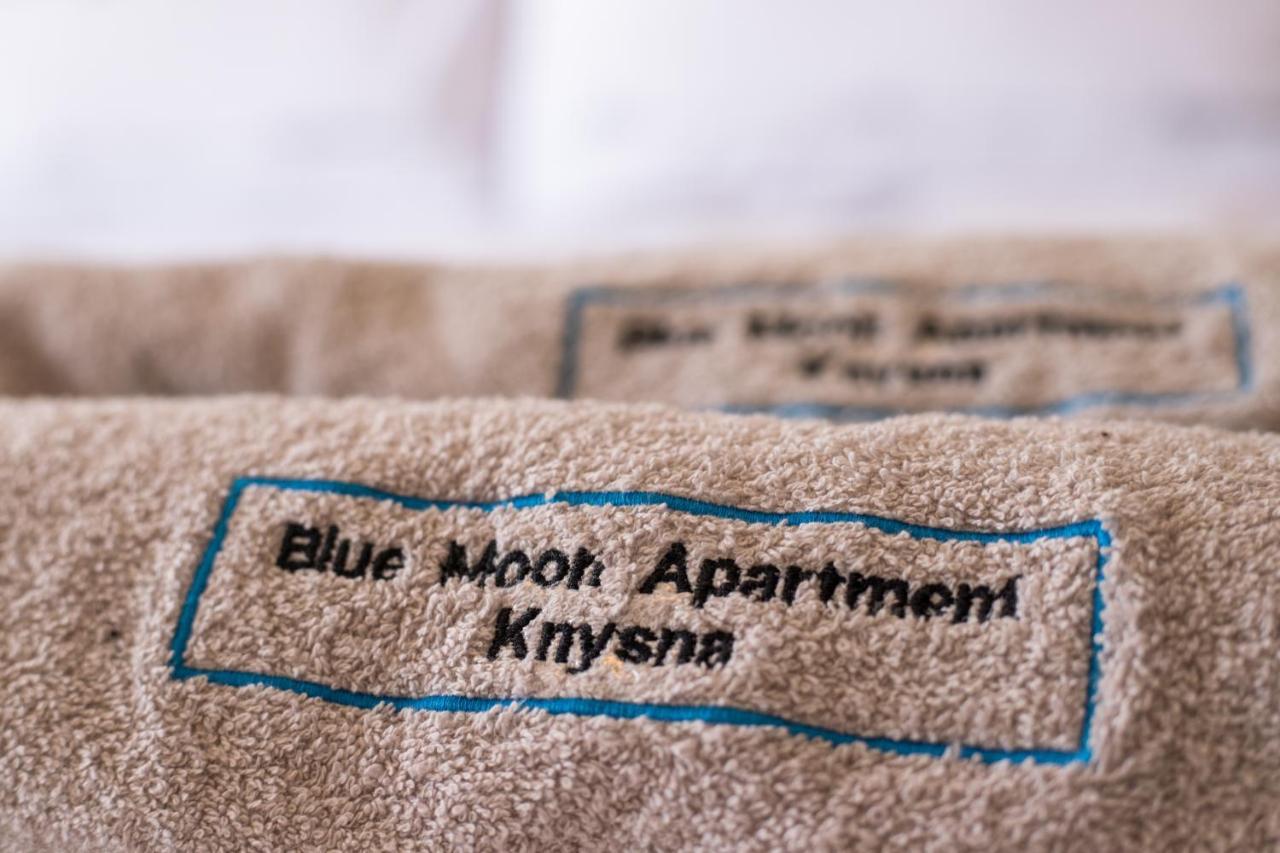 Blue Moon Apartments Knysna Exterior foto